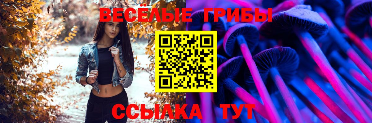 Псилоцибиновые грибы Psilocybe Вольск