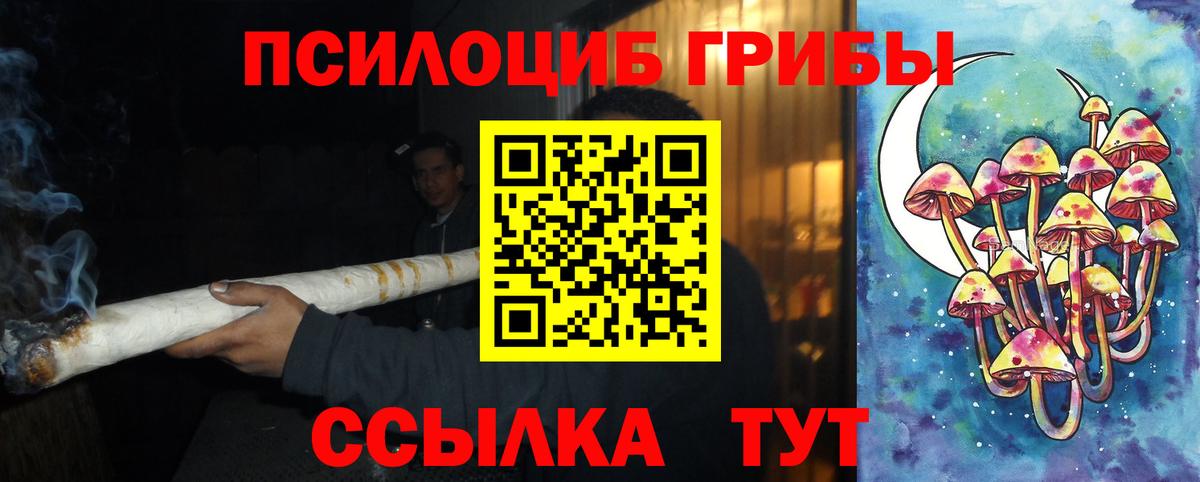 Вольск  Псилоцибиновые грибы ЛСД  хочу наркоту  Вход с VPN 