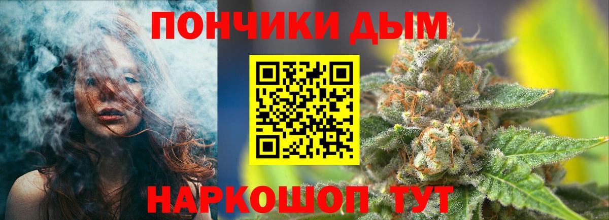 Марихуана сатива  Шишки марихуана план  Шишки марихуана VHQ  Вольск  Вход с VPN 